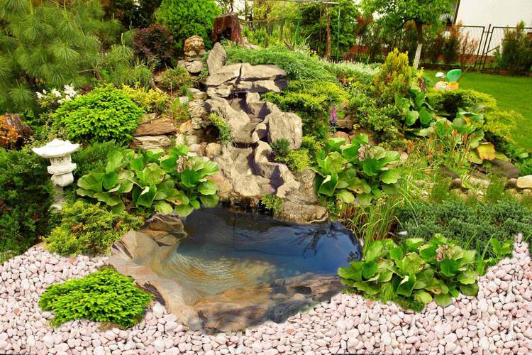 bassin de jardin facile
